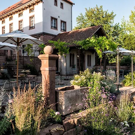 Palais Wunderlich Apartment Lahr (Baden-Wurttemberg)